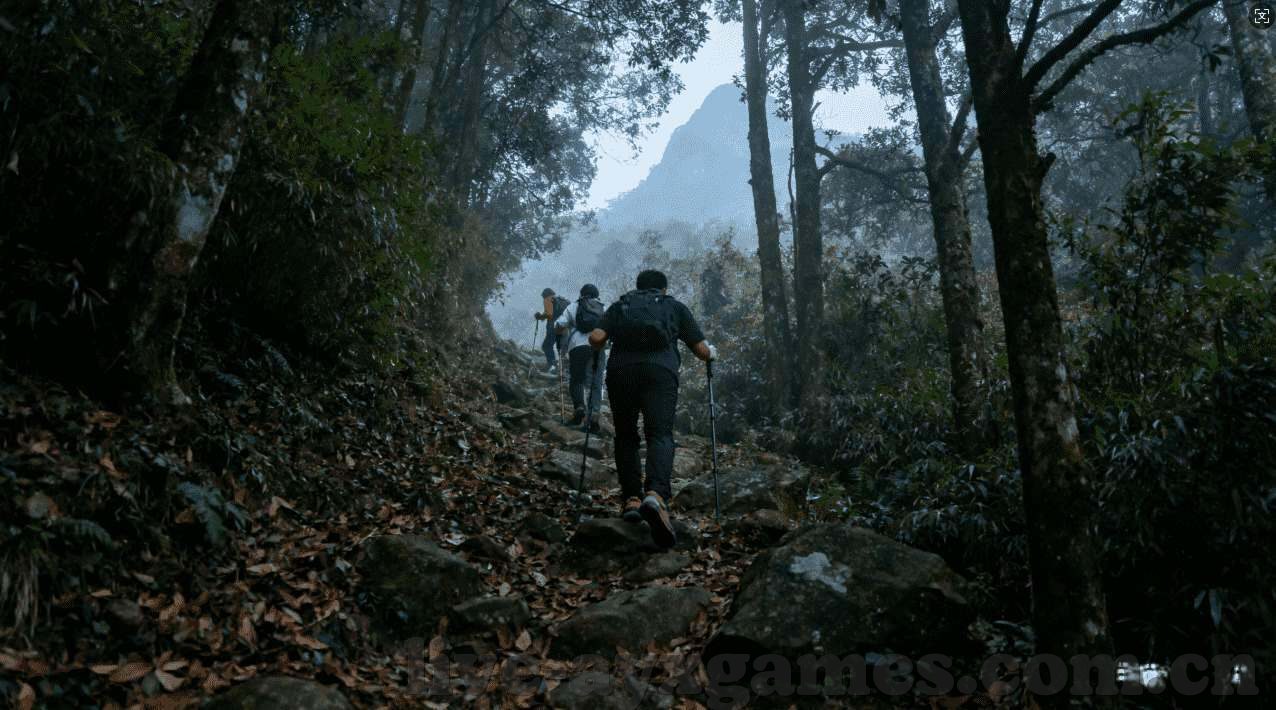 世界杯竞猜彩票网-世界杯竞猜彩票网，足球盛宴中的数字游戏