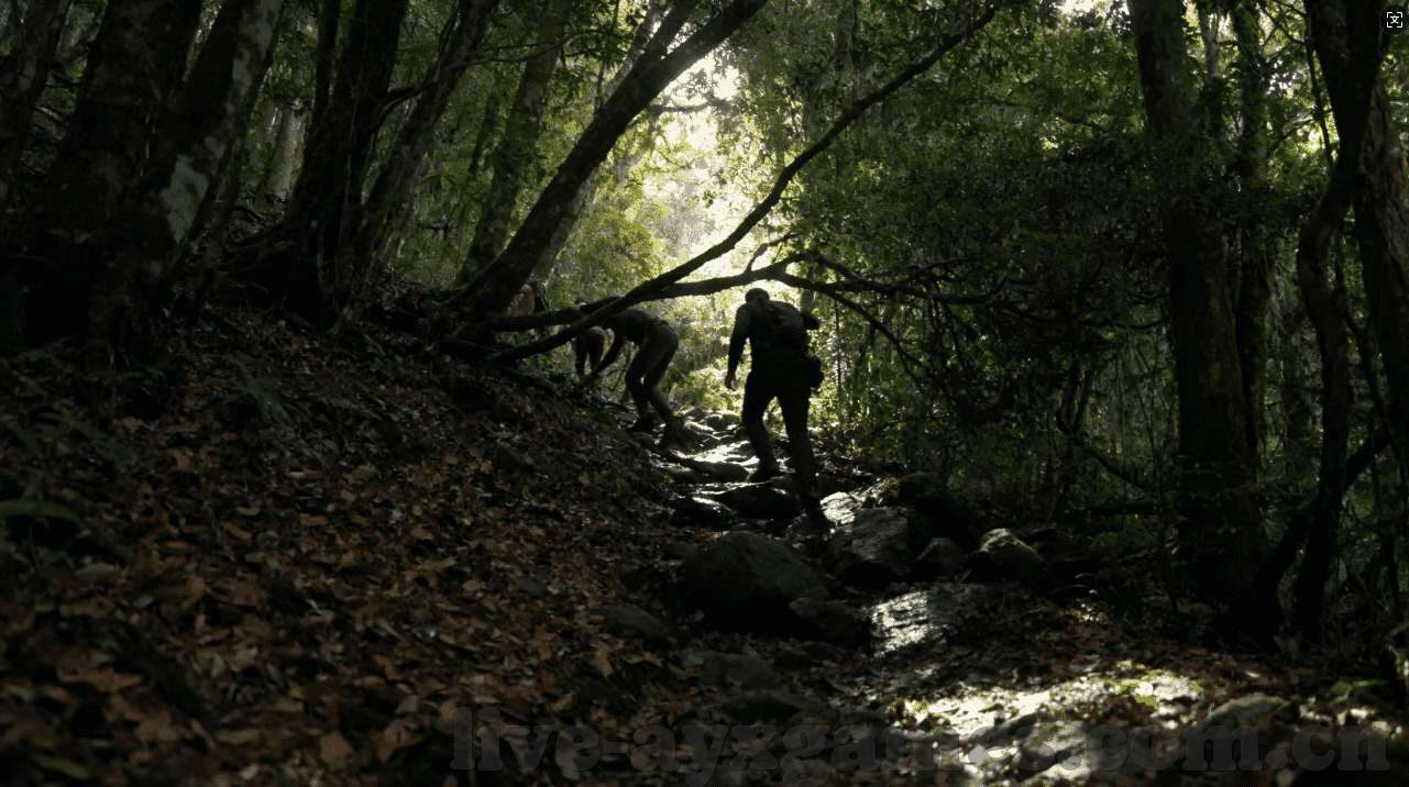 永利控股集团-永利控股集团，稳健布局下的多元化探索